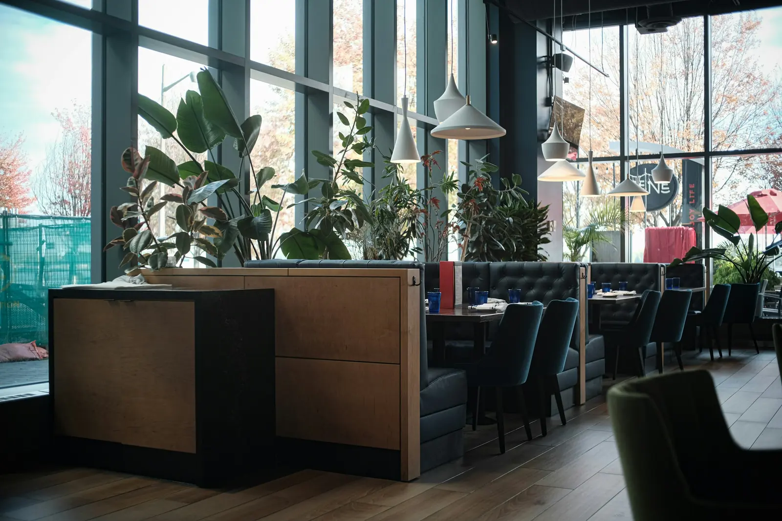 Behind the booths, timber planter boxes lift the planting against full-height glazing in dark frames.