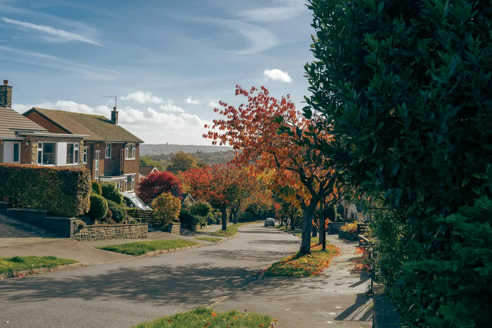 Fallen leaves cover the pavement beside a road dropping downhill past clipped hedges and a brick house.