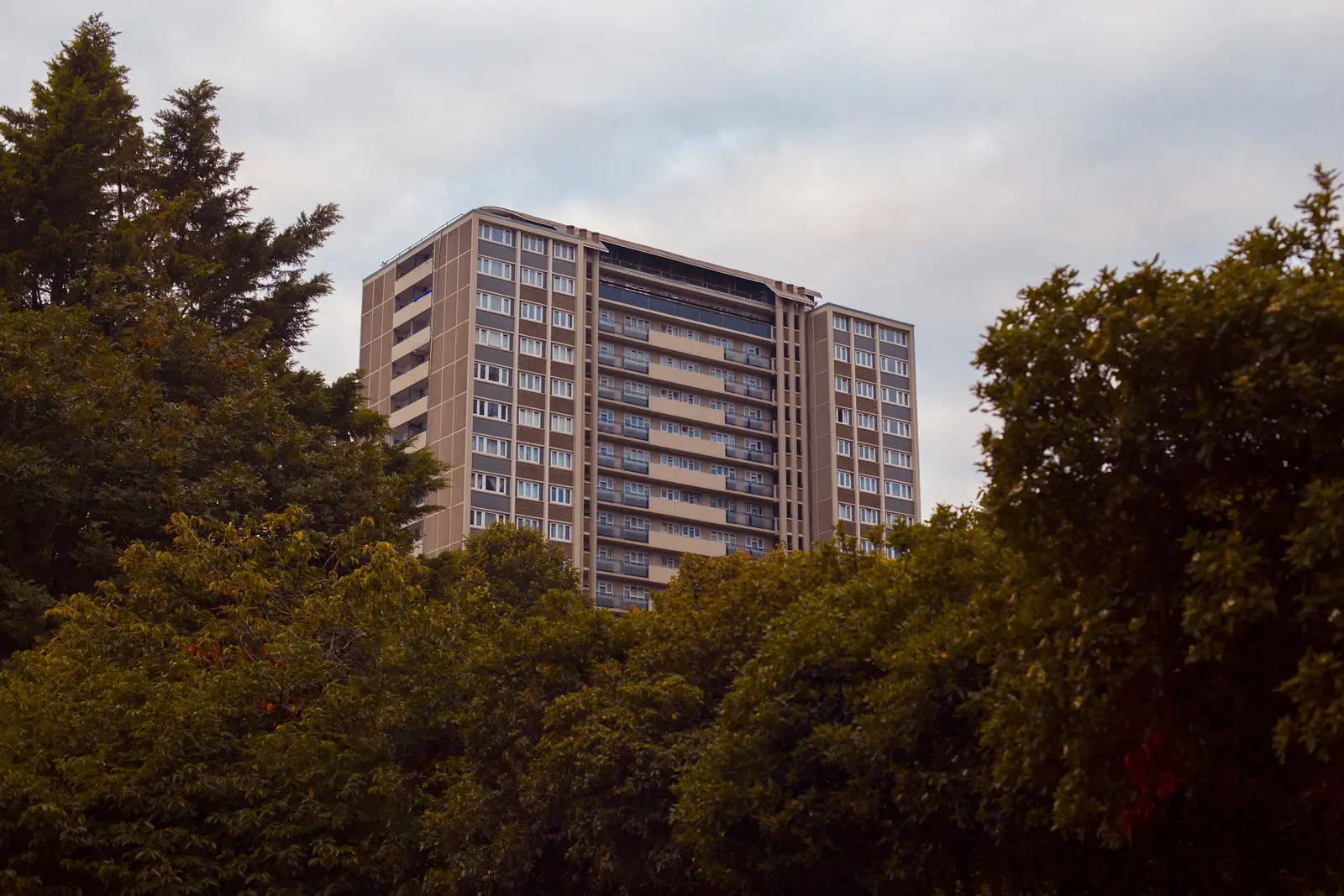 Trees cover the bottom few floors of a panelled tower block — balconies run up its middle face.