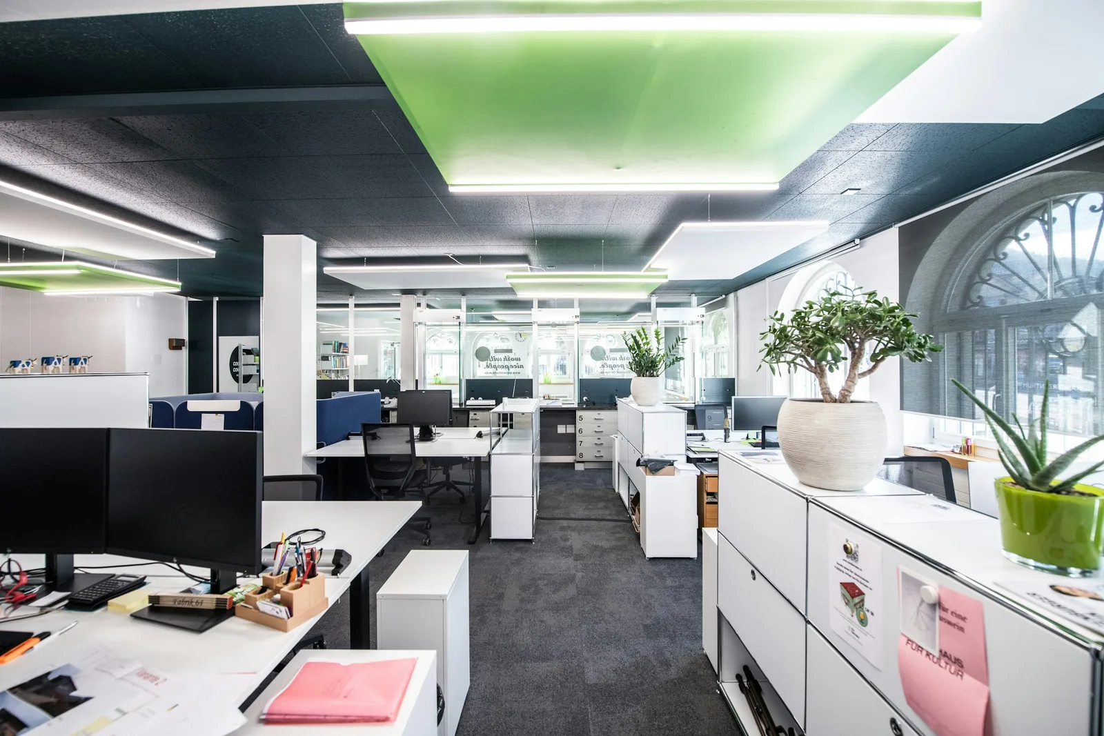 White modular storage carries the plants under a dark tiled ceiling with green-lit recesses.